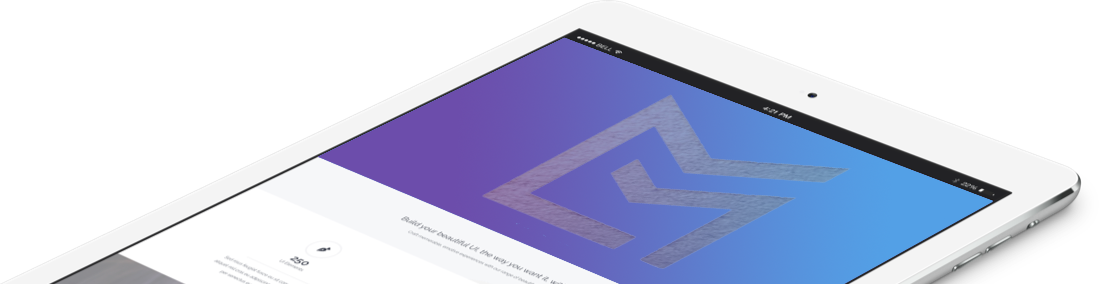 about LM CRM